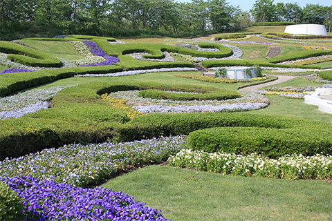 国営みちのく杜の湖畔公園